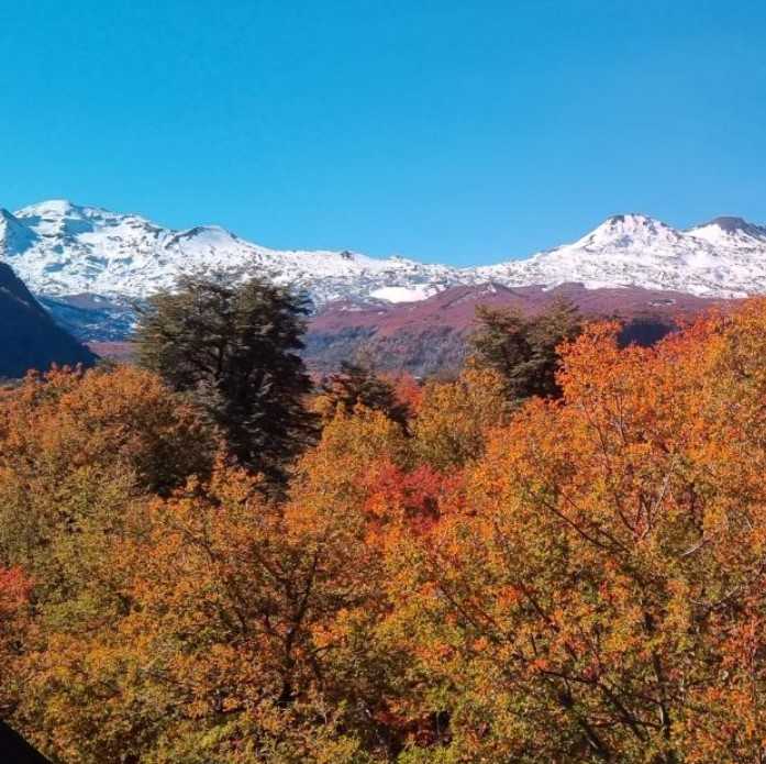 Venta Parcela Pinto - Ñuble