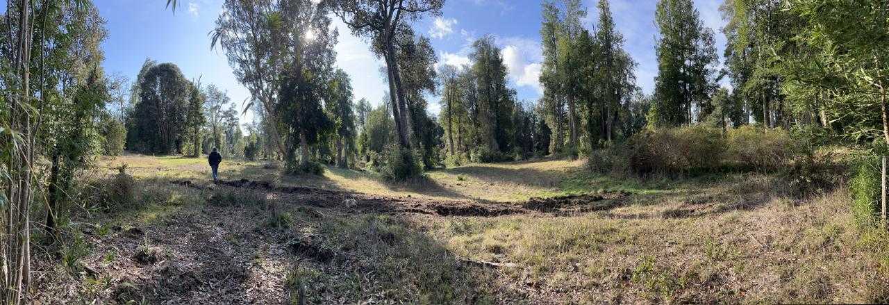 Venta Terreno Frutillar - Los Lagos