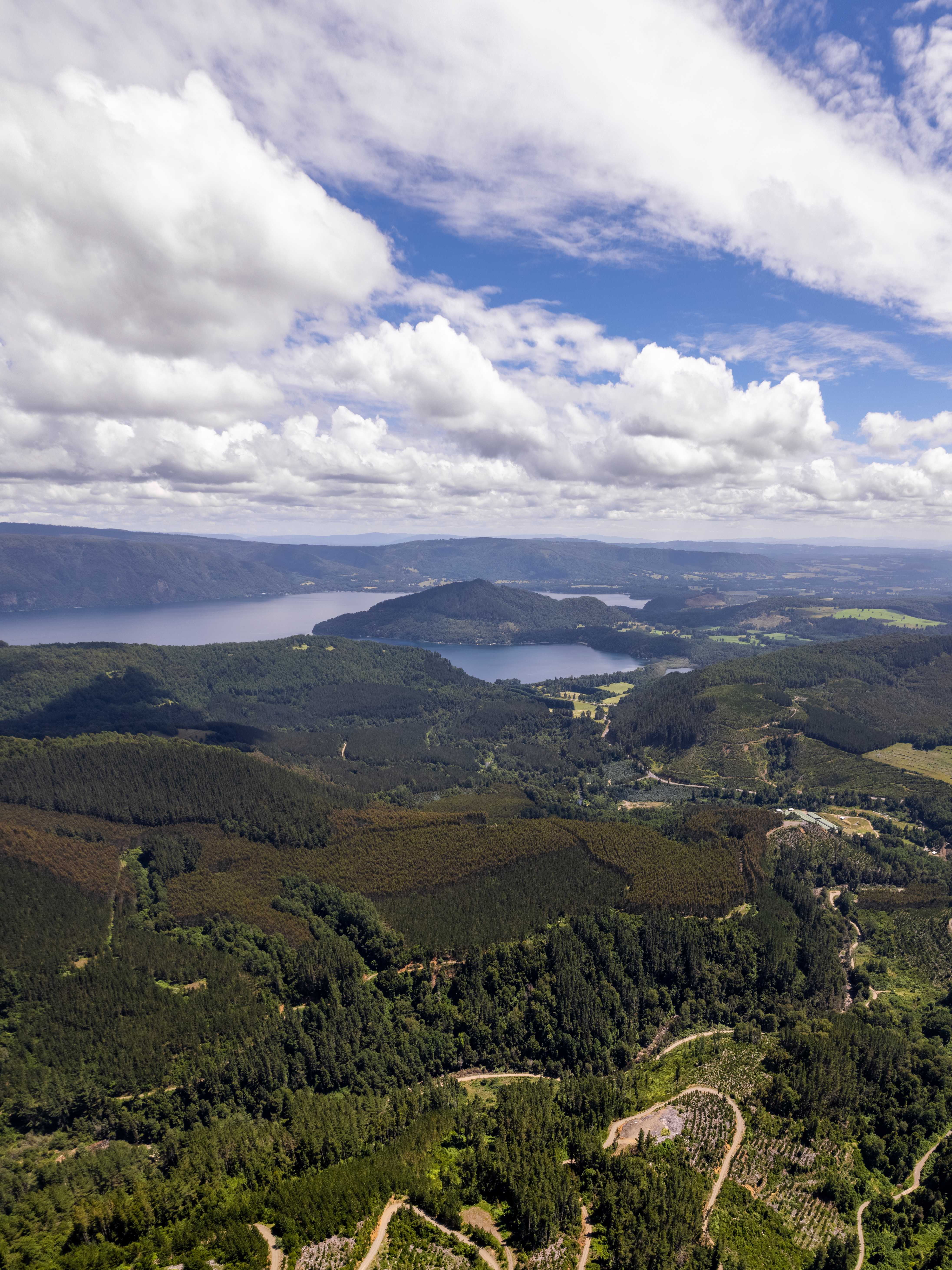 Venta Parcela Cunco - La Araucanía