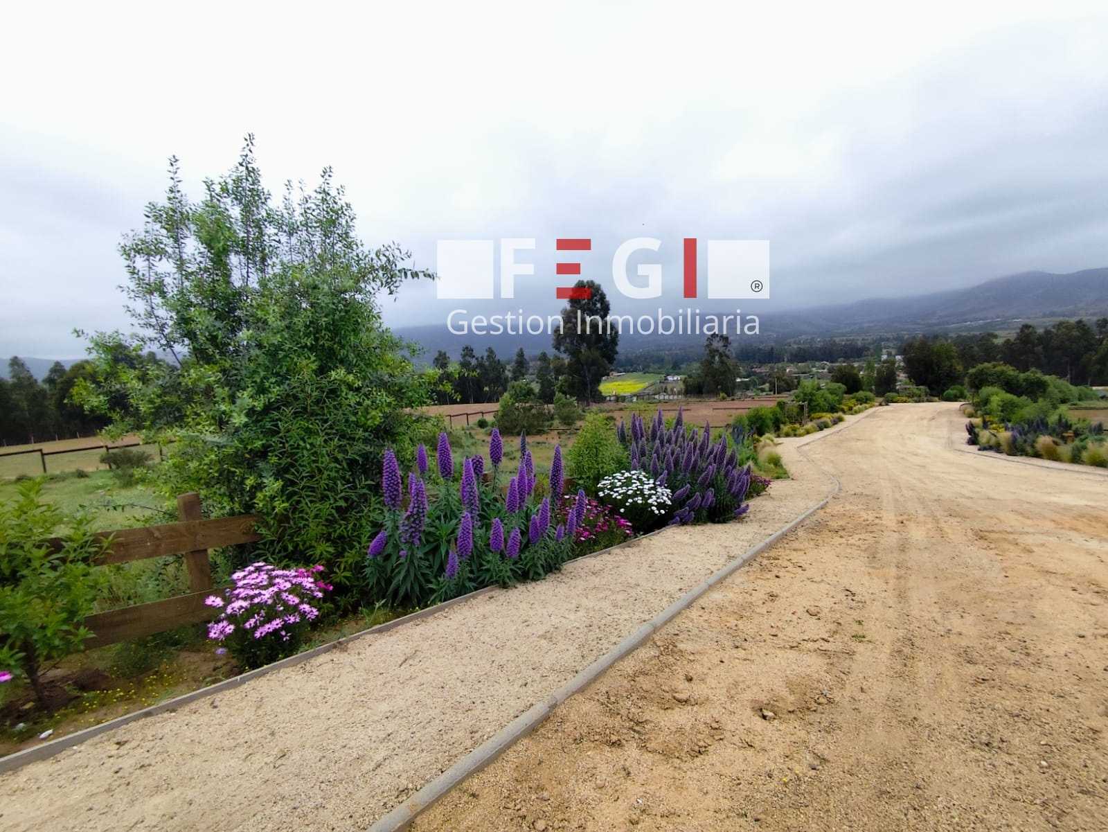 Venta Parcela Puchuncaví - Valparaíso