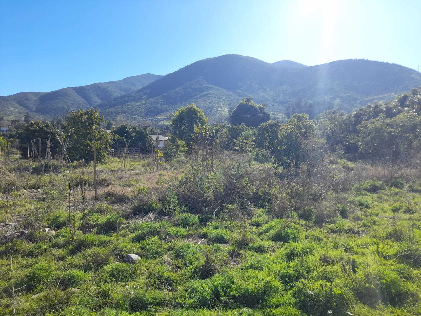 Venta Parcela Quillota - Valparaíso