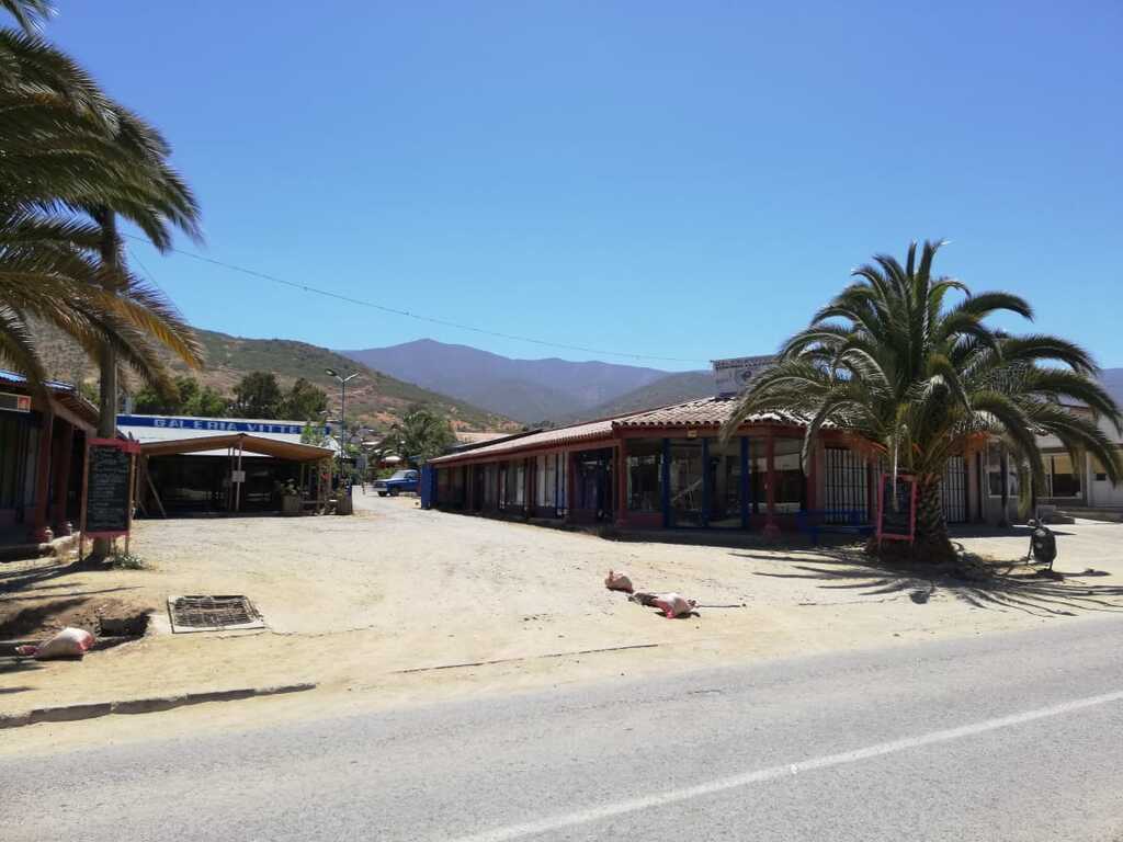 Venta Terreno La Ligua - Valparaíso