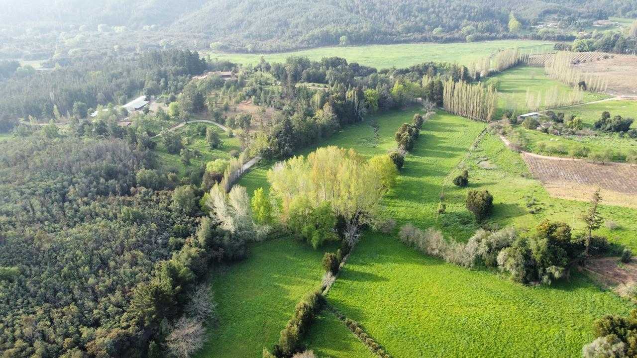 Venta Parcela Quillón - Ñuble