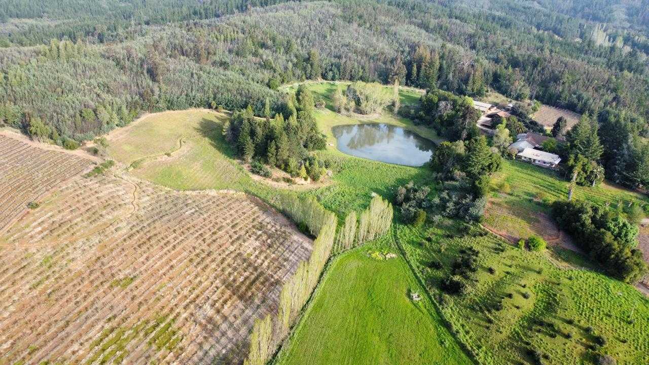 Venta Parcela Quillón - Ñuble