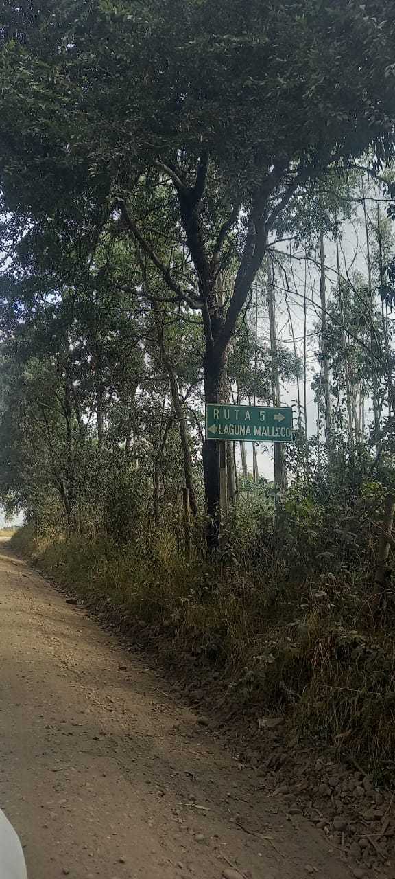 Venta Terreno Victoria - La Araucanía