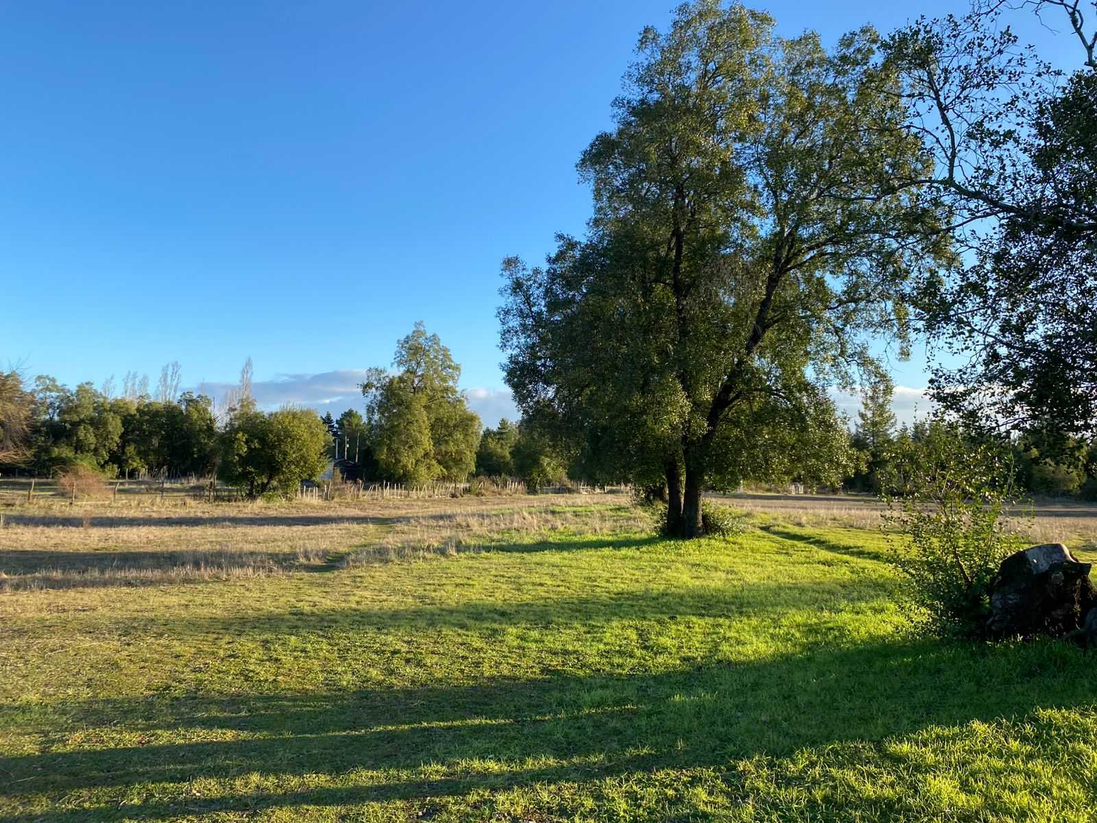 Venta Parcela Laja - Biobío