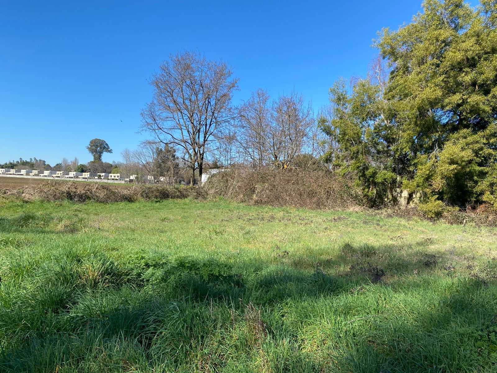 Venta Parcela Los Angeles - Biobío