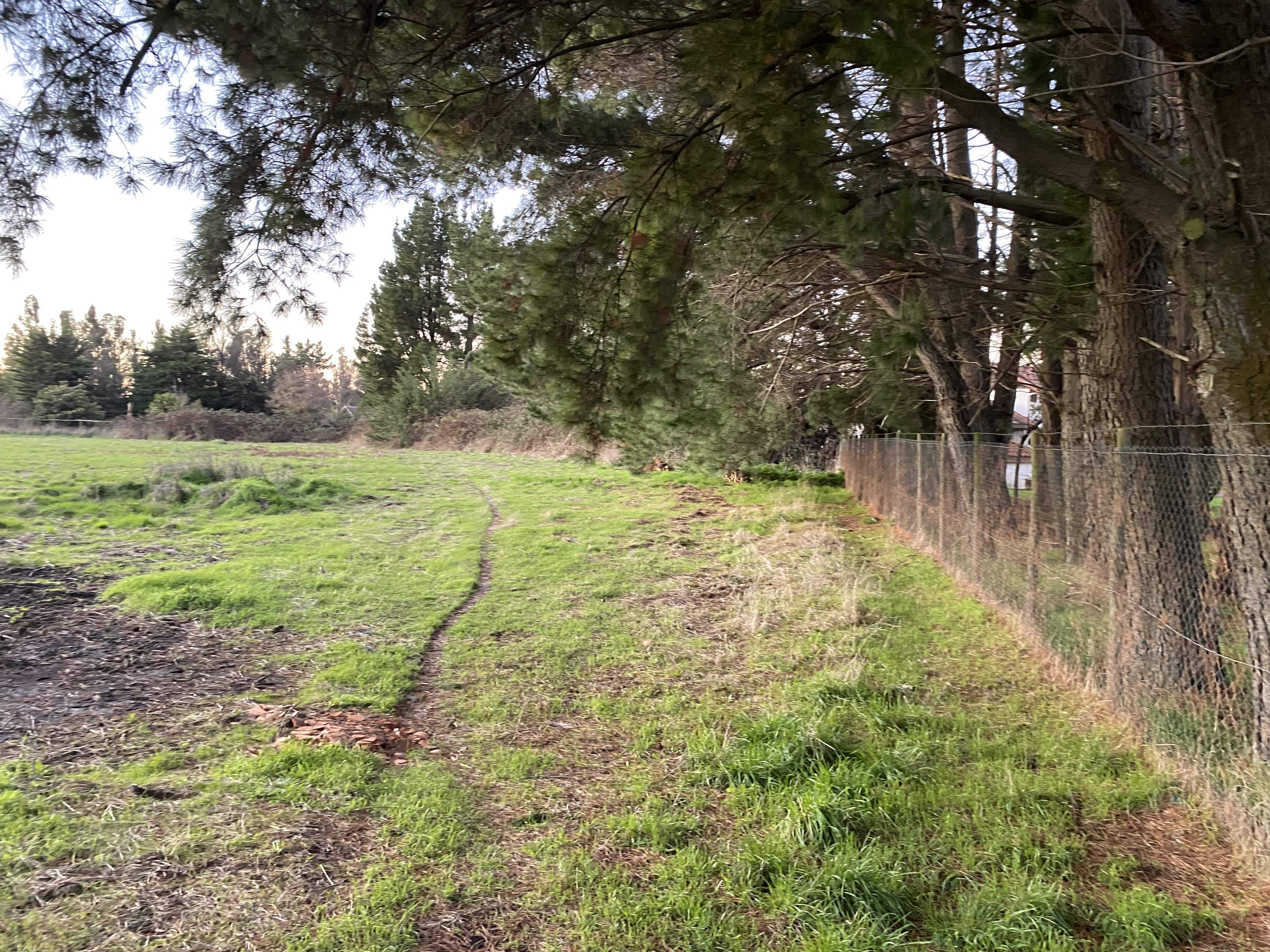 Venta Parcela Los Angeles - Biobío