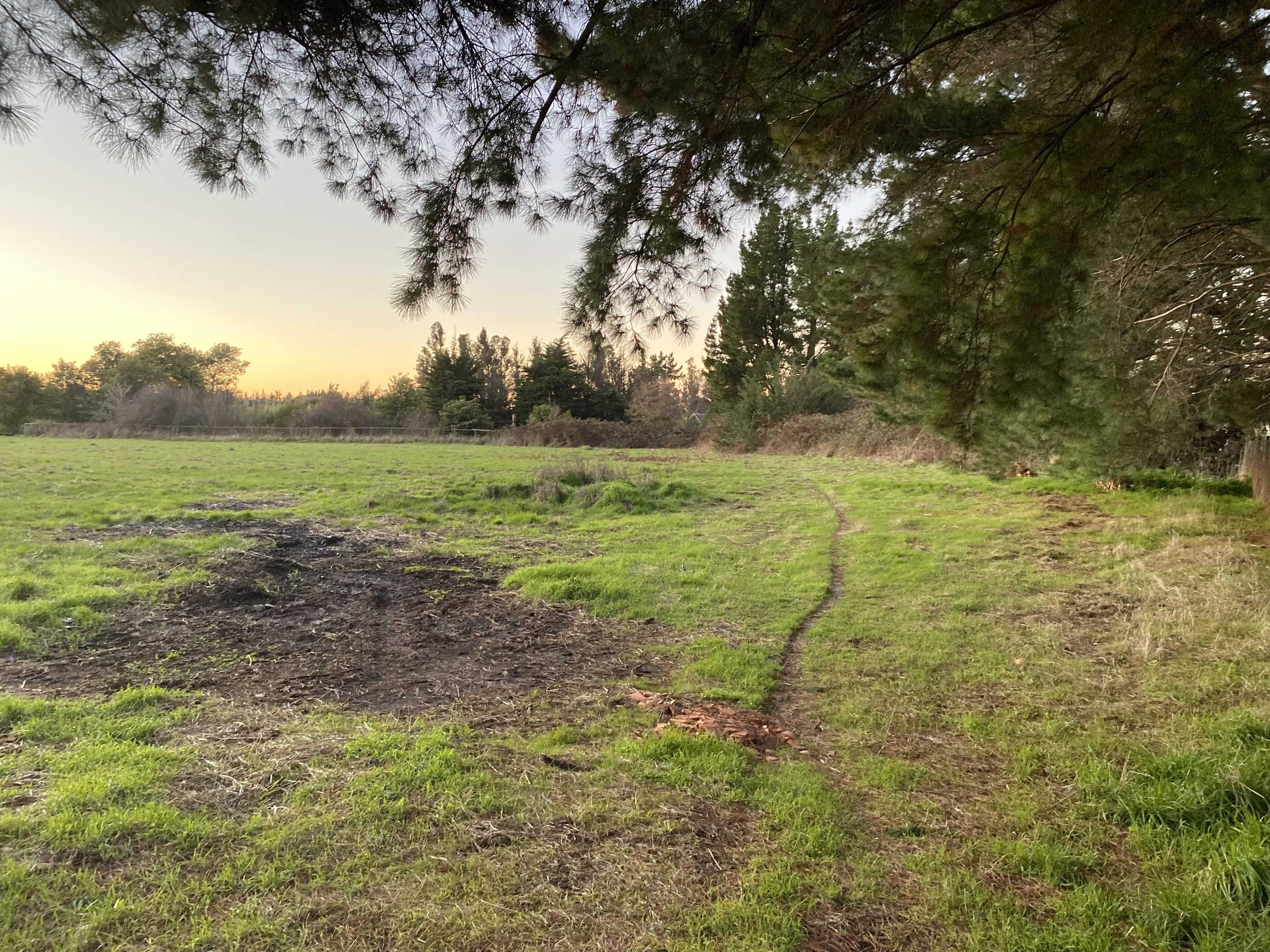 Venta Parcela Los Angeles - Biobío