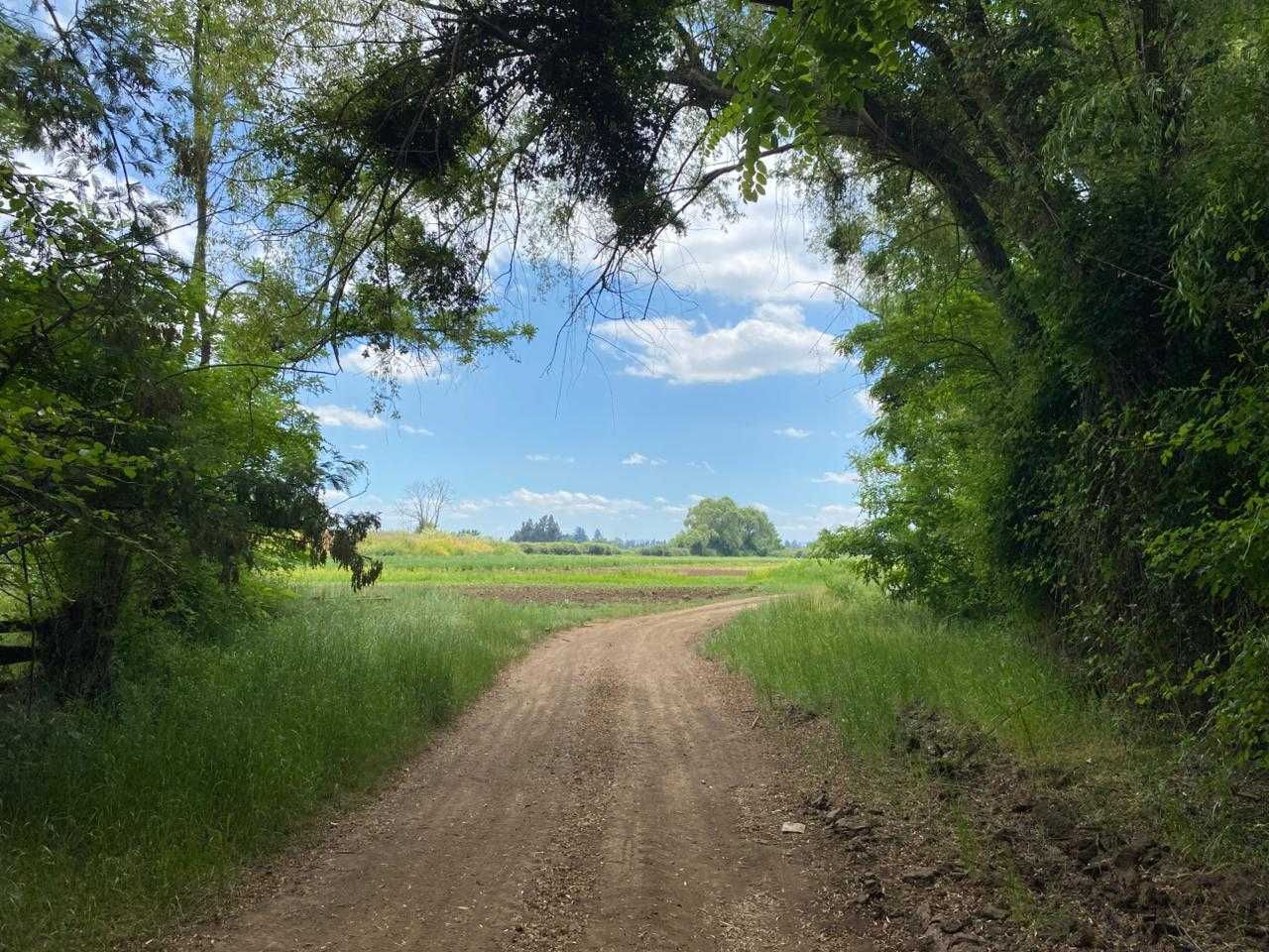 Espectacular Campo a la Venta en Teno