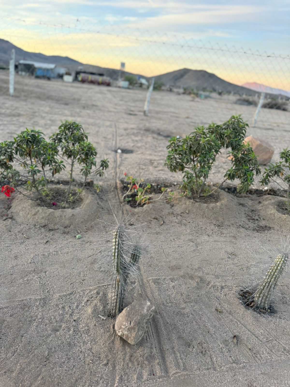 Venta Parcela Vallenar - Atacama