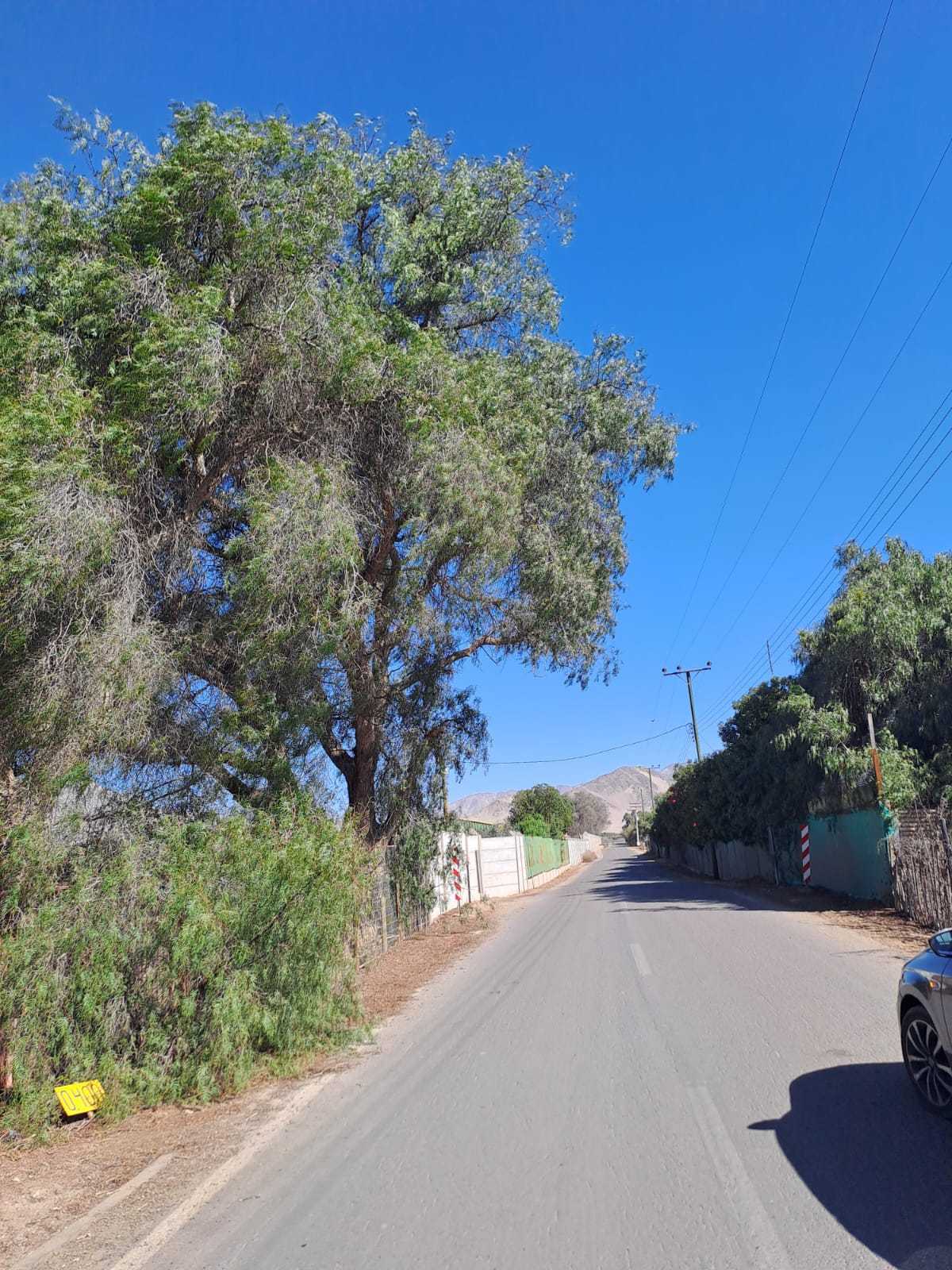 Venta Parcela Copiapó - Atacama