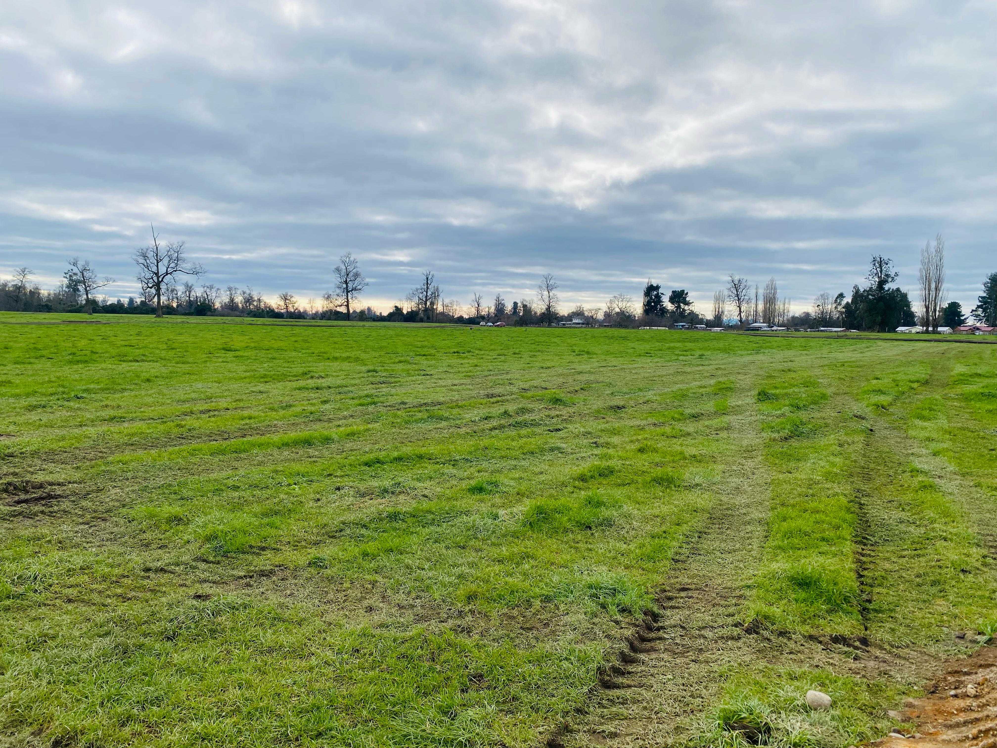 Venta Parcela Osorno - Los Lagos