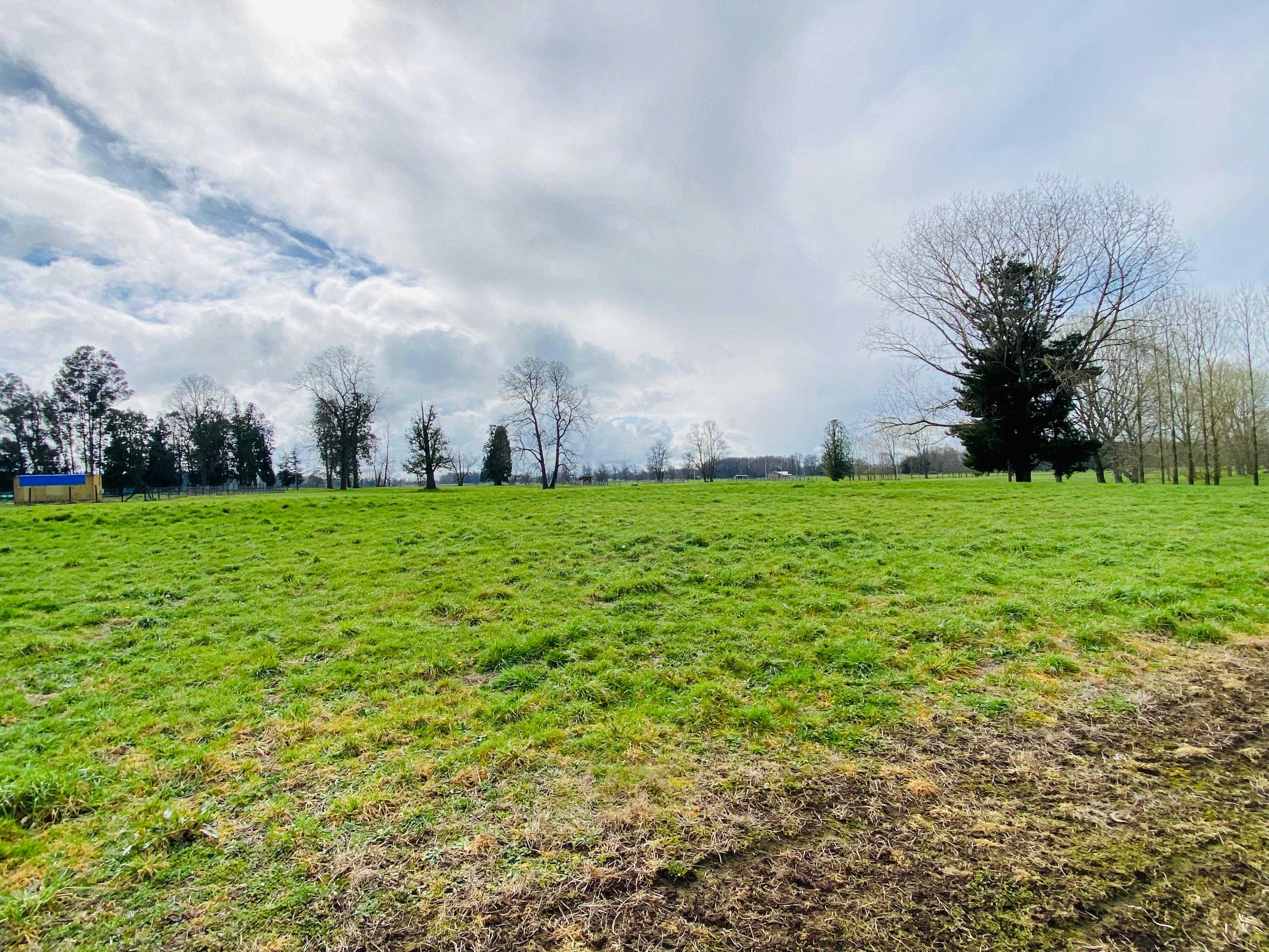 Venta Terreno Osorno - Los Lagos