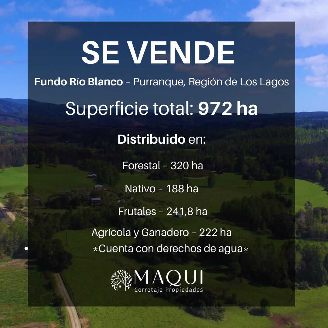 Venta Terreno Purranque - Los Lagos