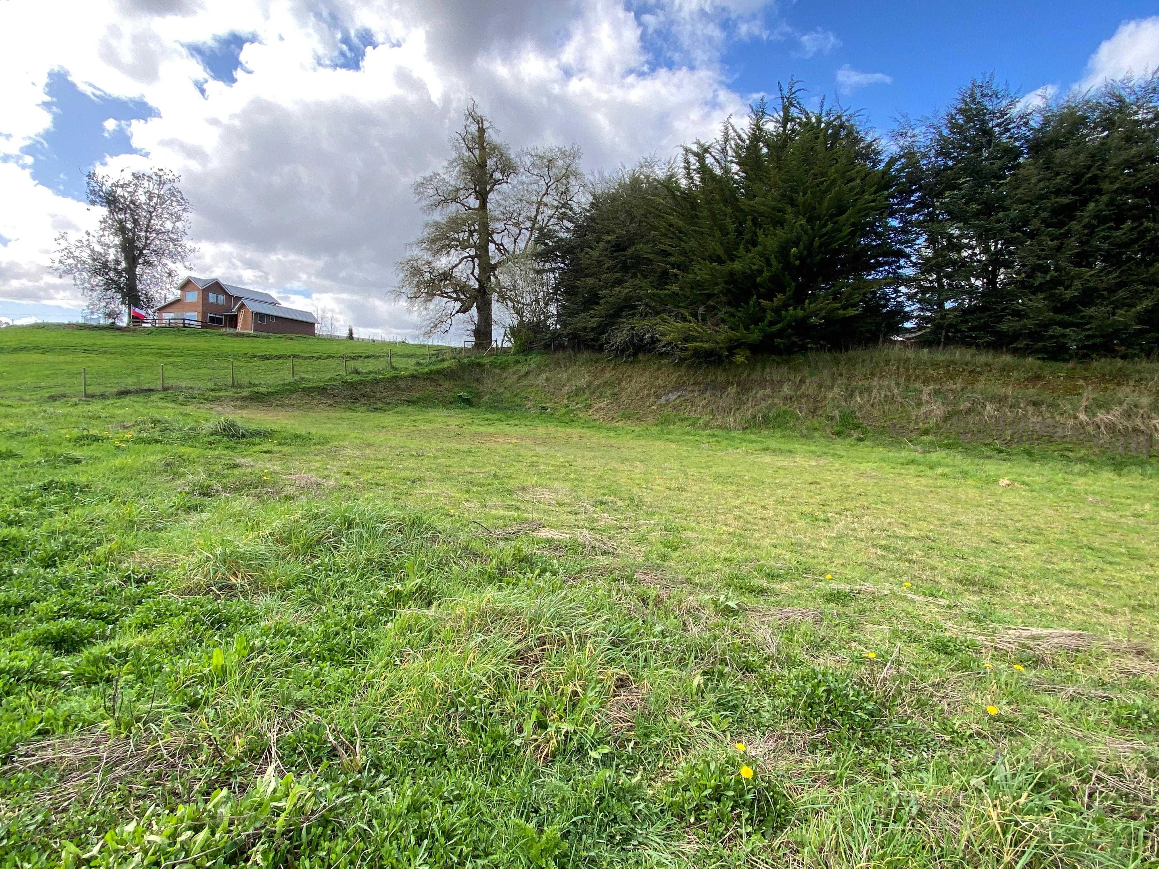 Venta Terreno Osorno - Los Lagos