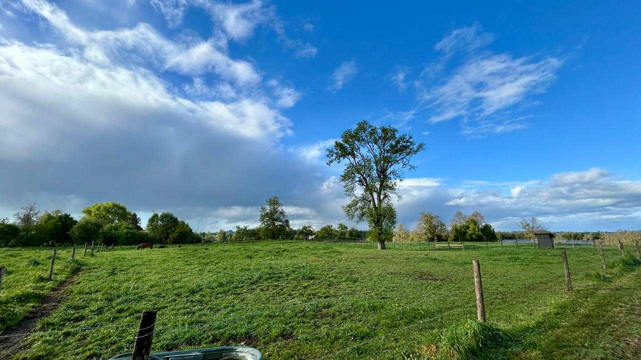 Venta Parcela Osorno - Los Lagos