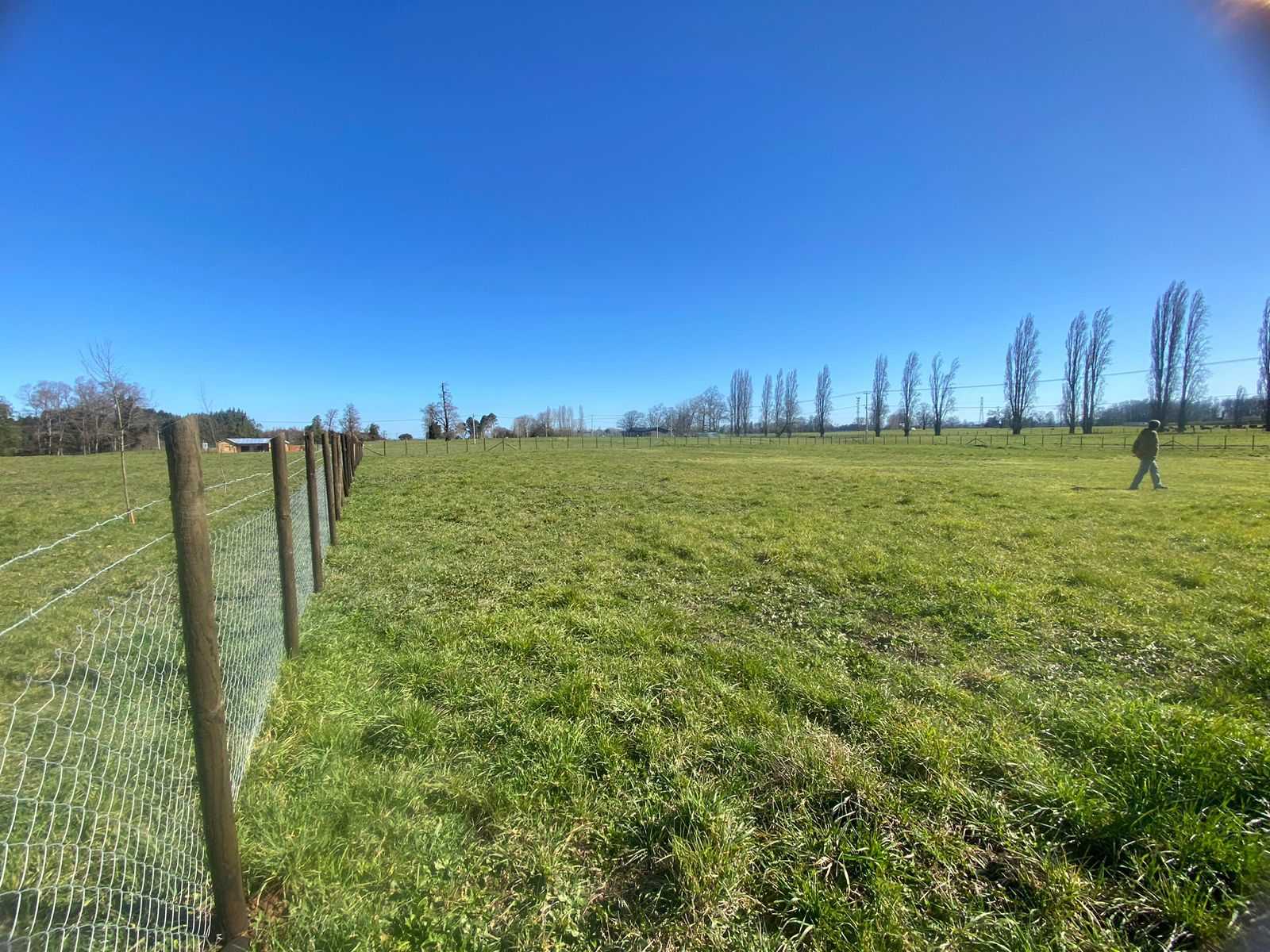 Venta Terreno Osorno - Los Lagos