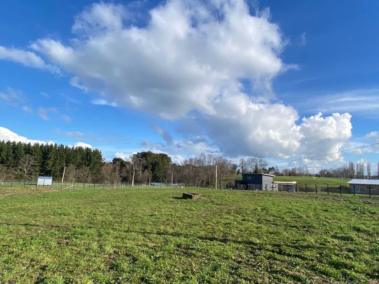 Venta Terreno Osorno - Los Lagos