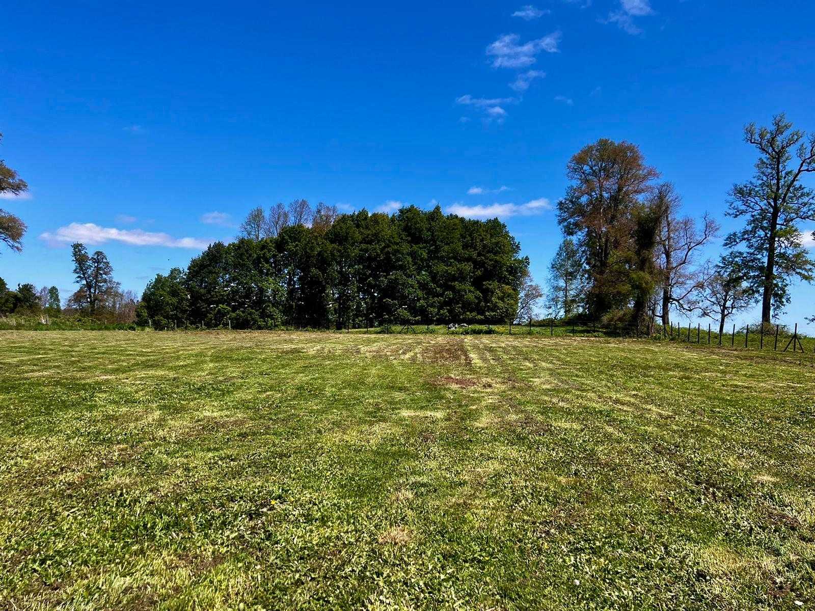 Venta Terreno Osorno - Los Lagos