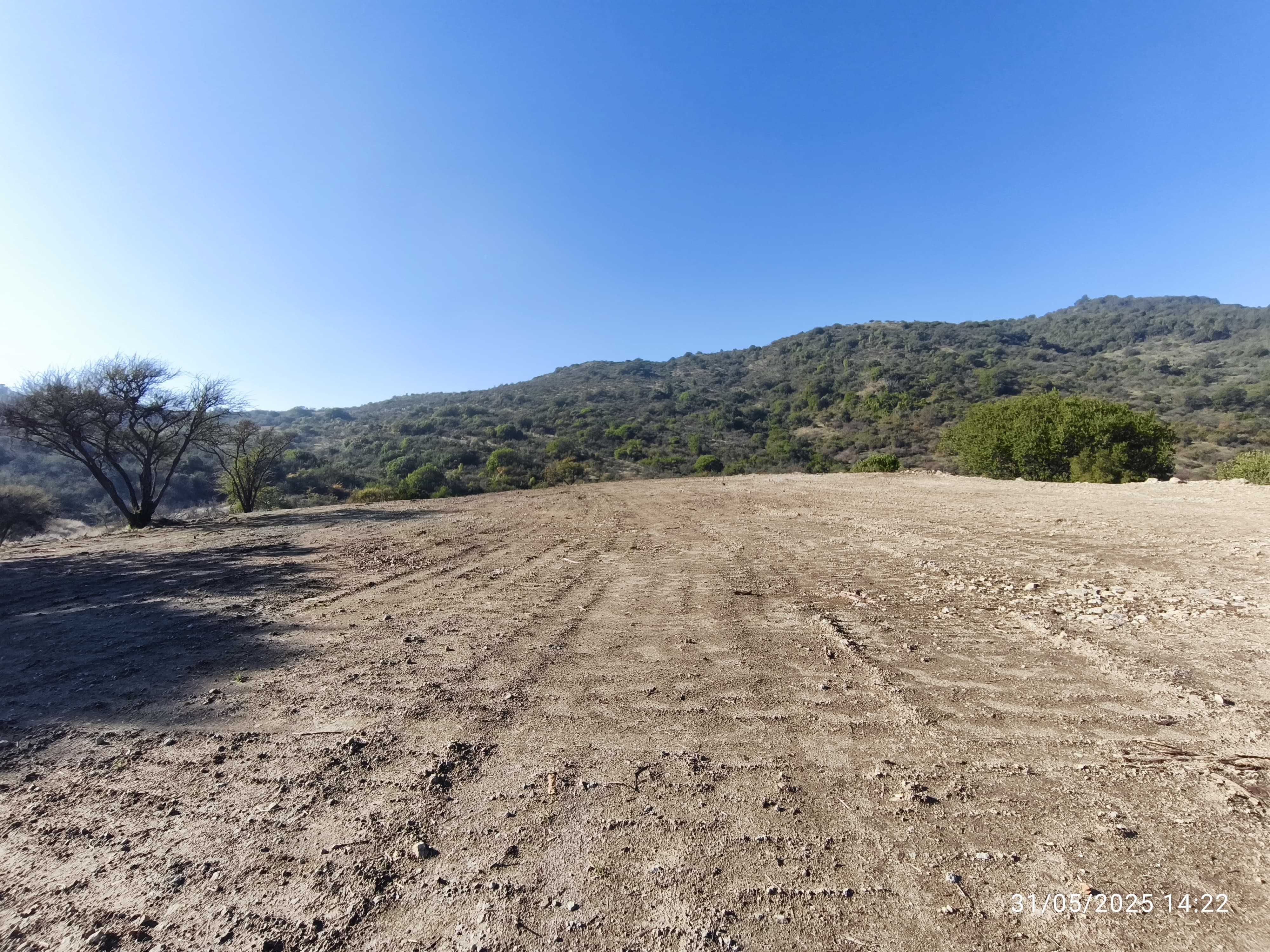 Venta Parcela Curicó - Maule