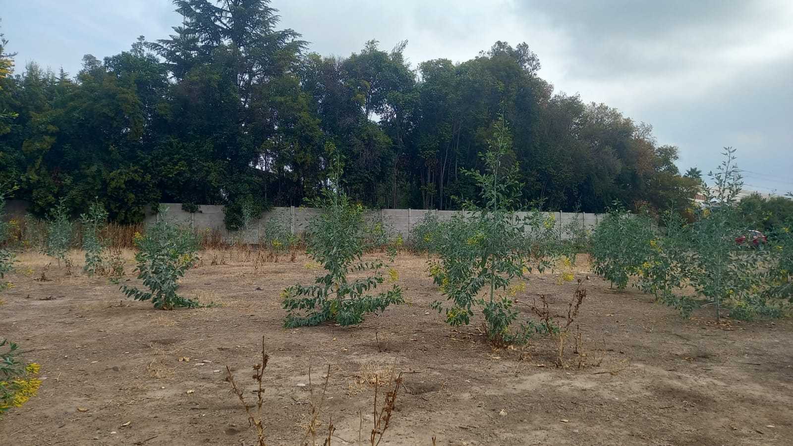 Venta Terreno Padre Hurtado - Región Metropolitana