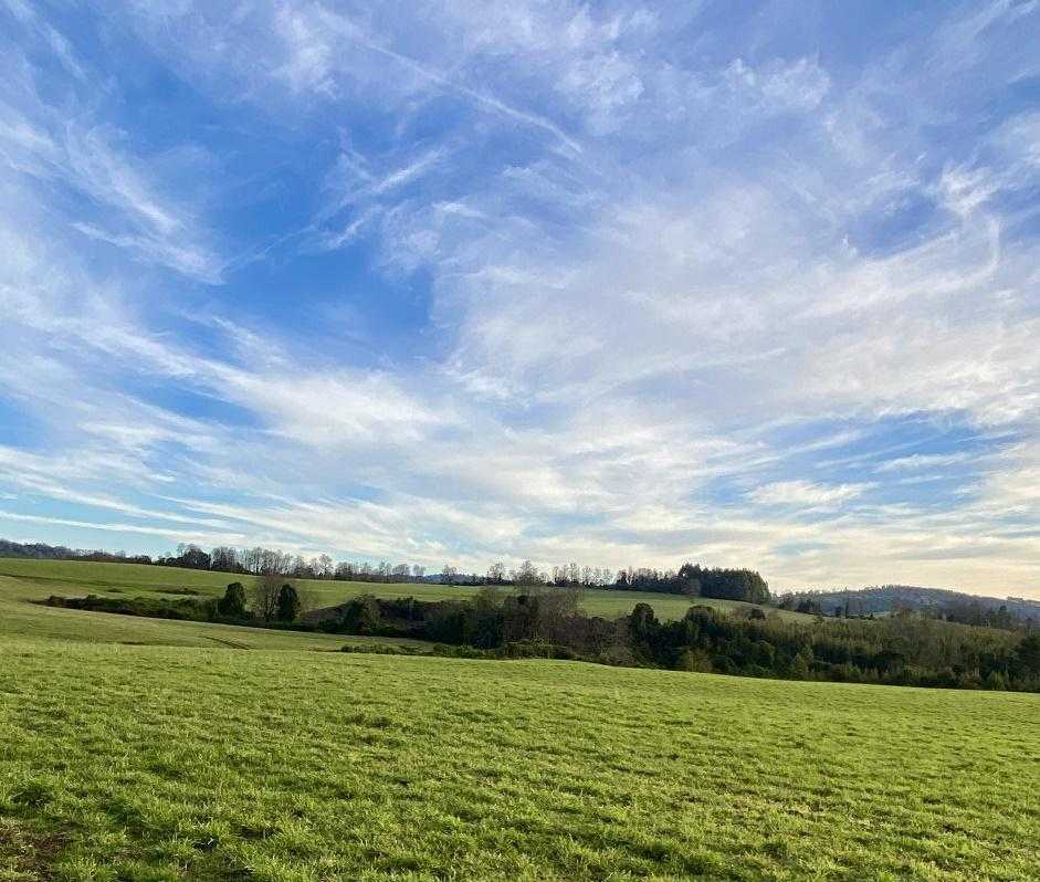 Venta Terreno Panguipulli - Los Ríos