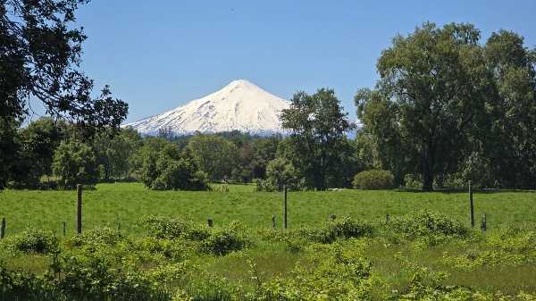 Venta Parcela Pitrufquén - La Araucanía