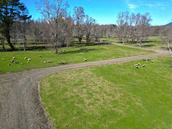 Venta Parcela Villarrica - La Araucanía