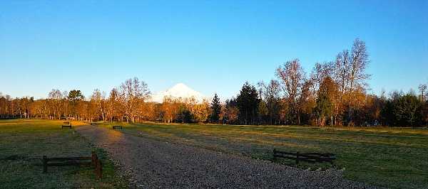 Venta Parcela Villarrica - La Araucanía