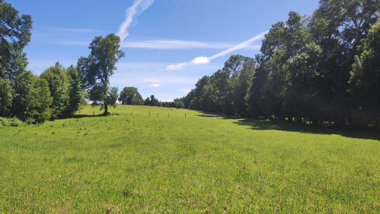 Venta Parcela Pitrufquén - La Araucanía