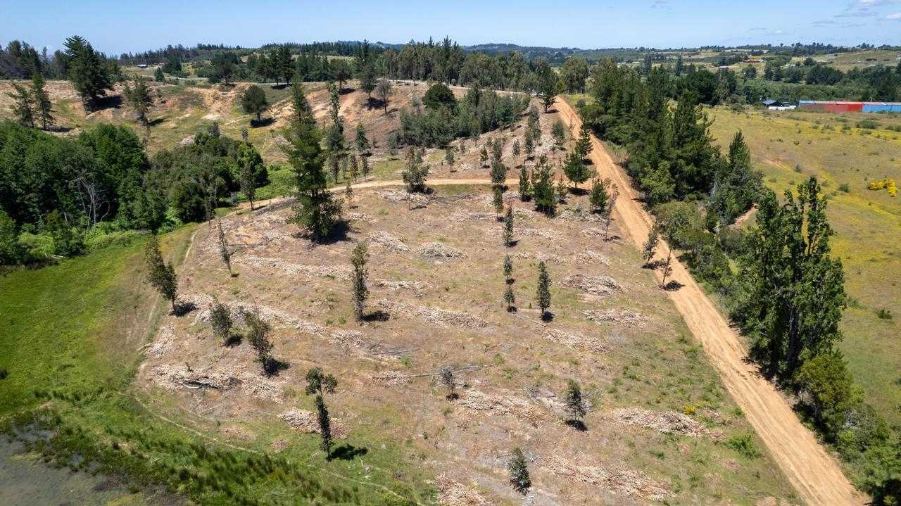 Venta Parcela Yumbel - Biobío