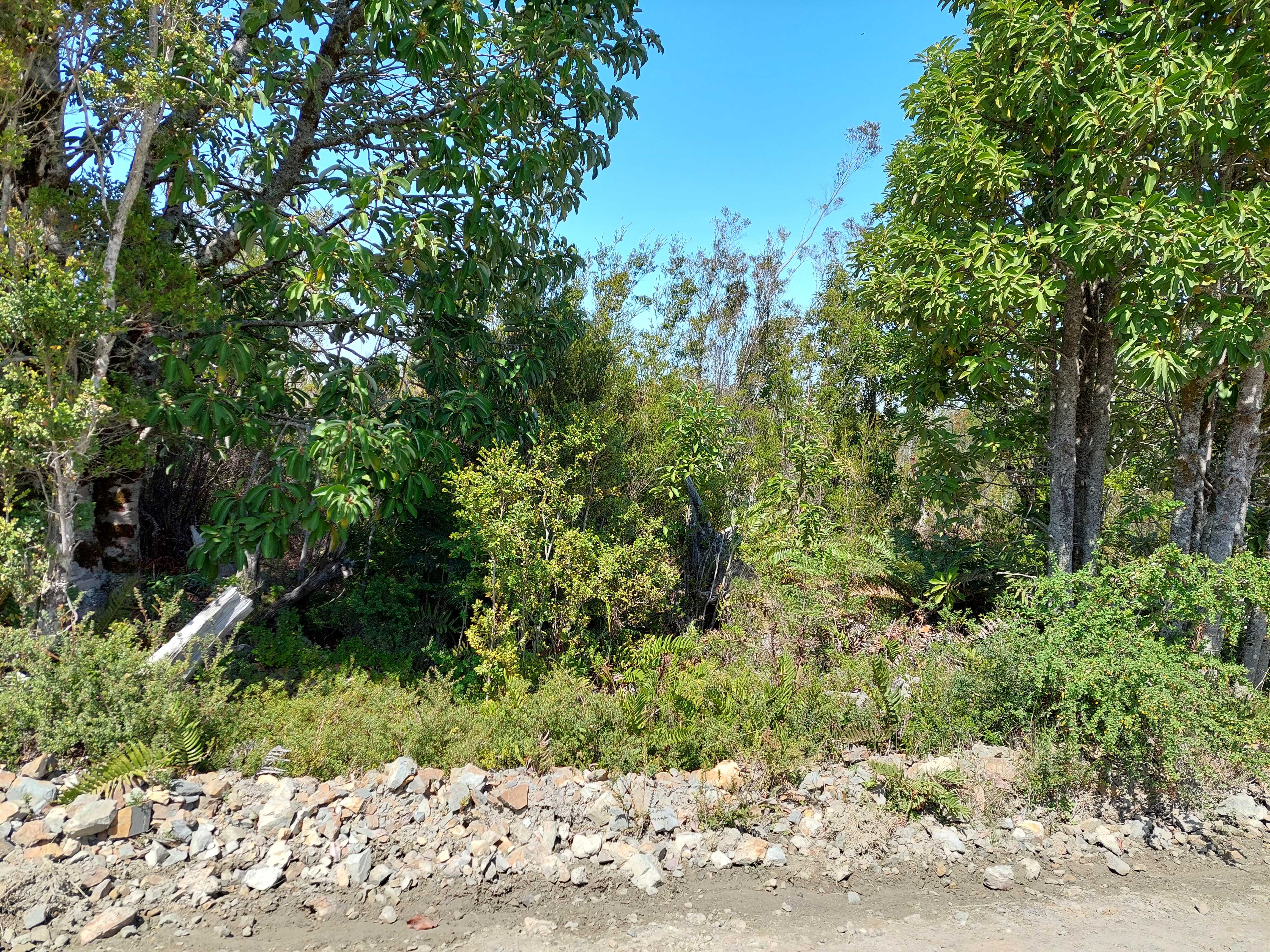 Venta Parcela Los Muermos - Los Lagos
