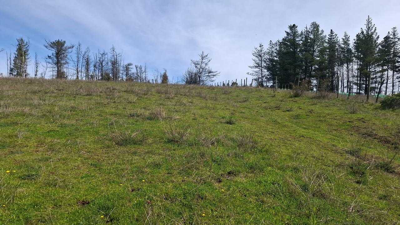 Venta Parcela Yumbel - Biobío
