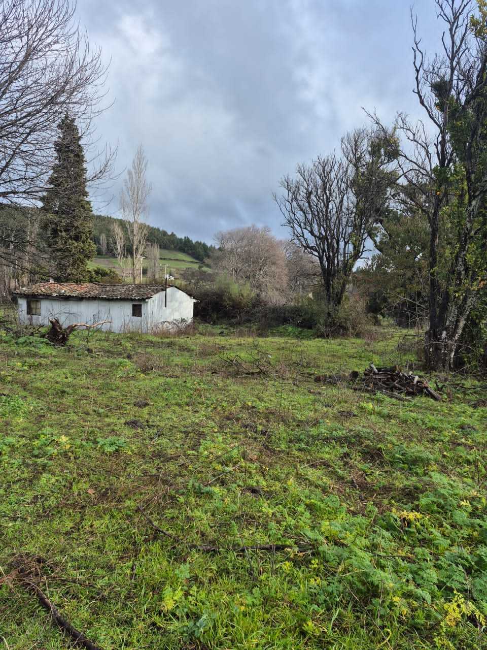 Venta Parcela Los Angeles - Biobío