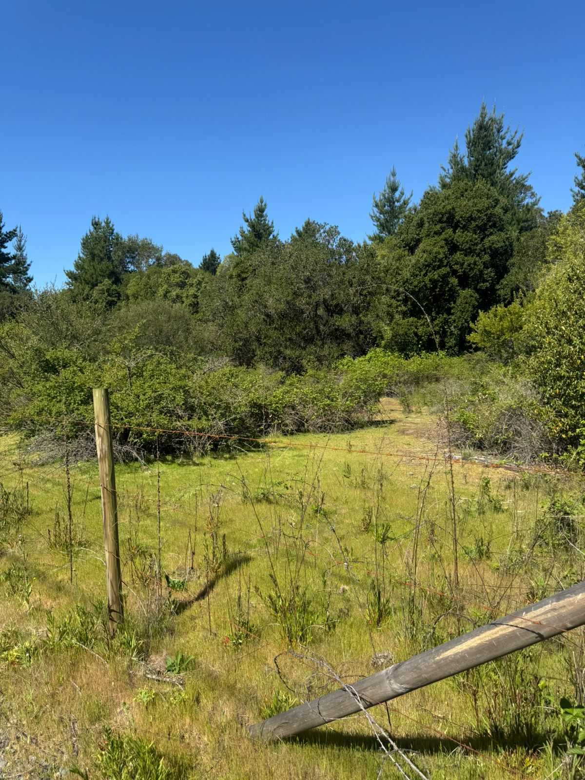 Venta Parcela Yumbel - Biobío