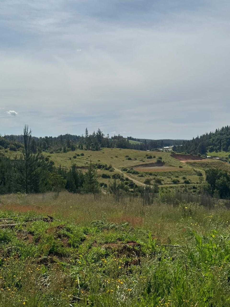 Venta Parcela Florida - Biobío