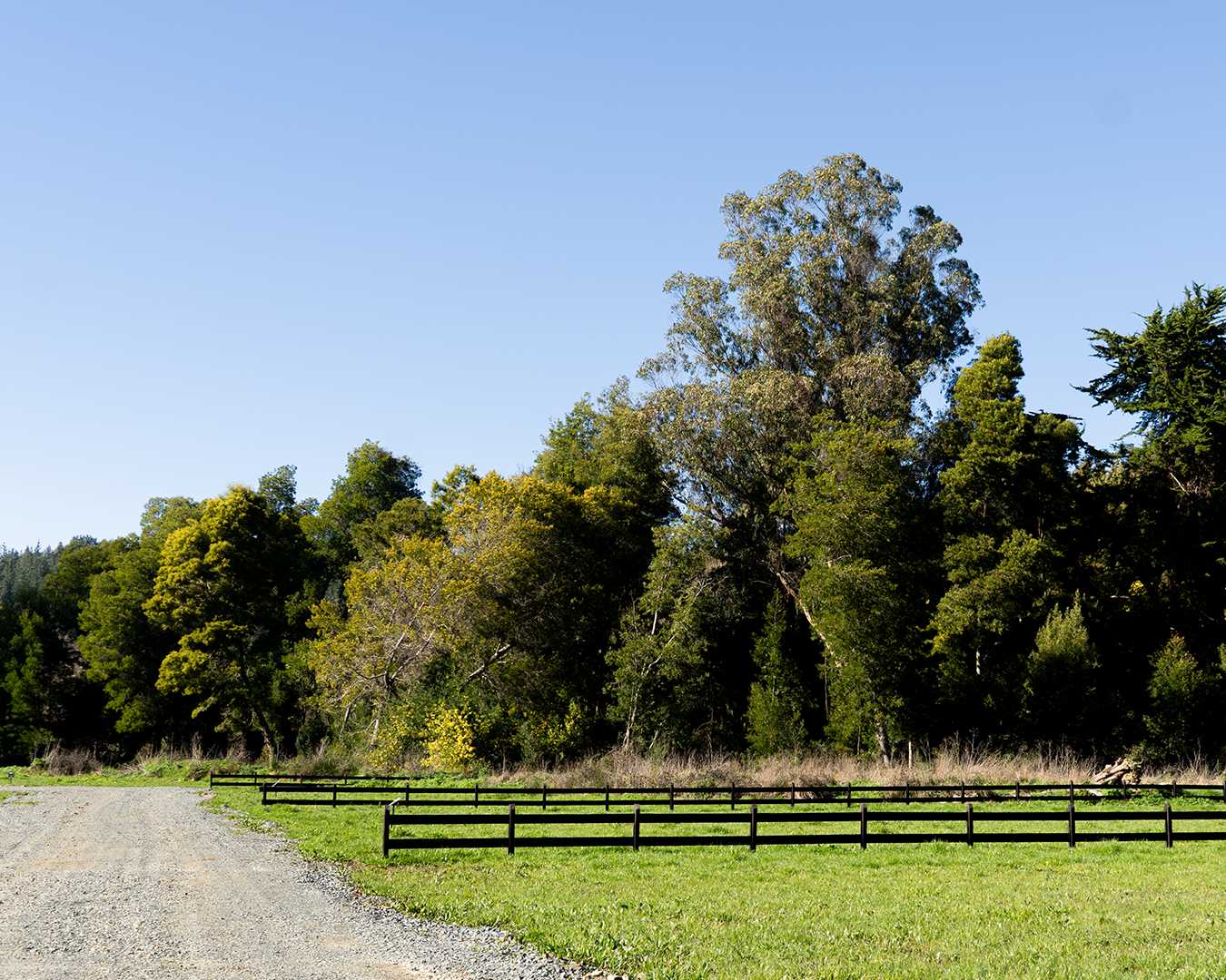 Venta Sitio Concepción - Biobío