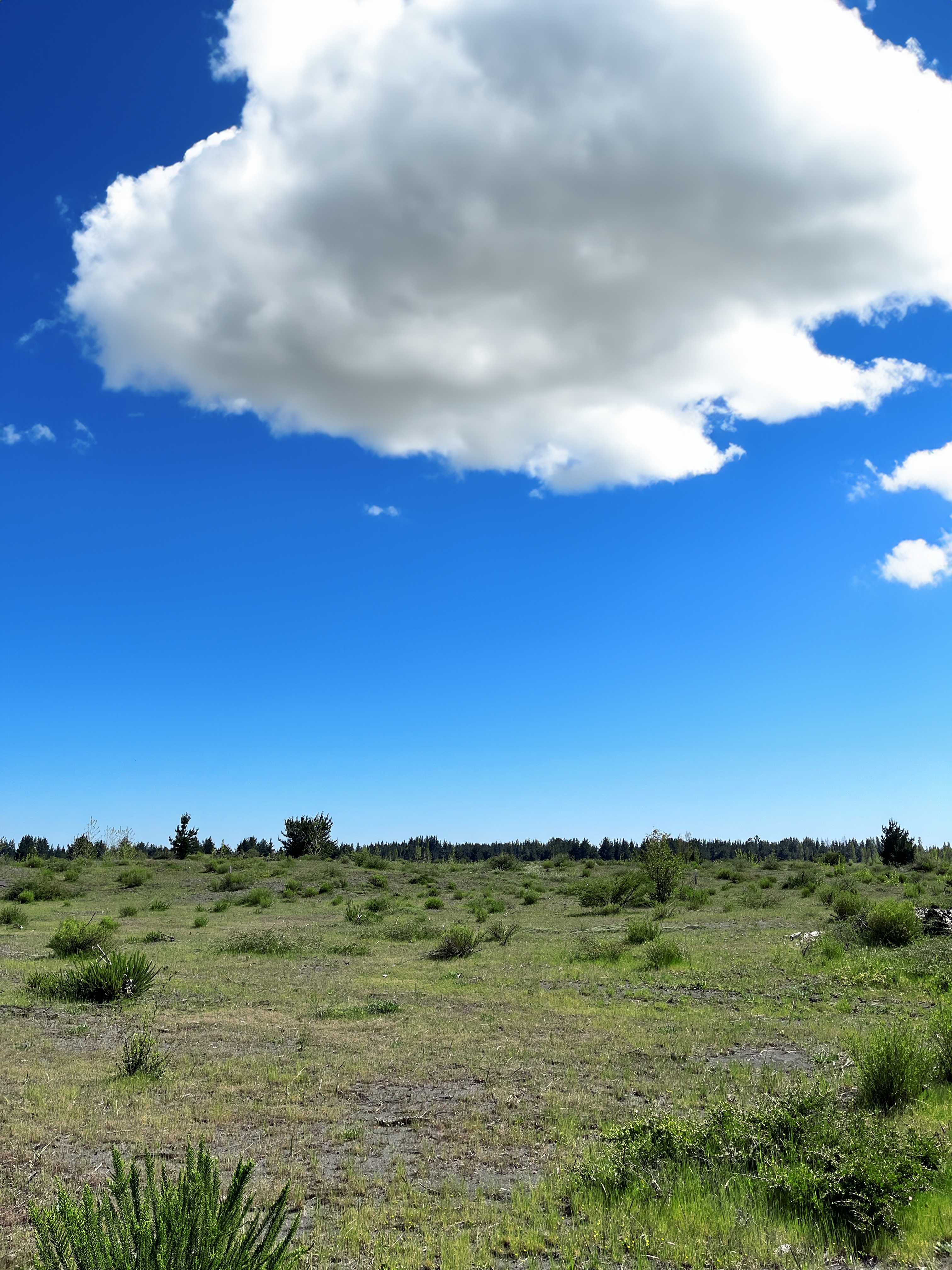 Venta Parcela Yungay - Ñuble