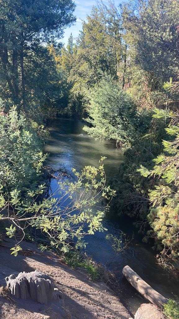 Venta Parcela Yungay - Ñuble