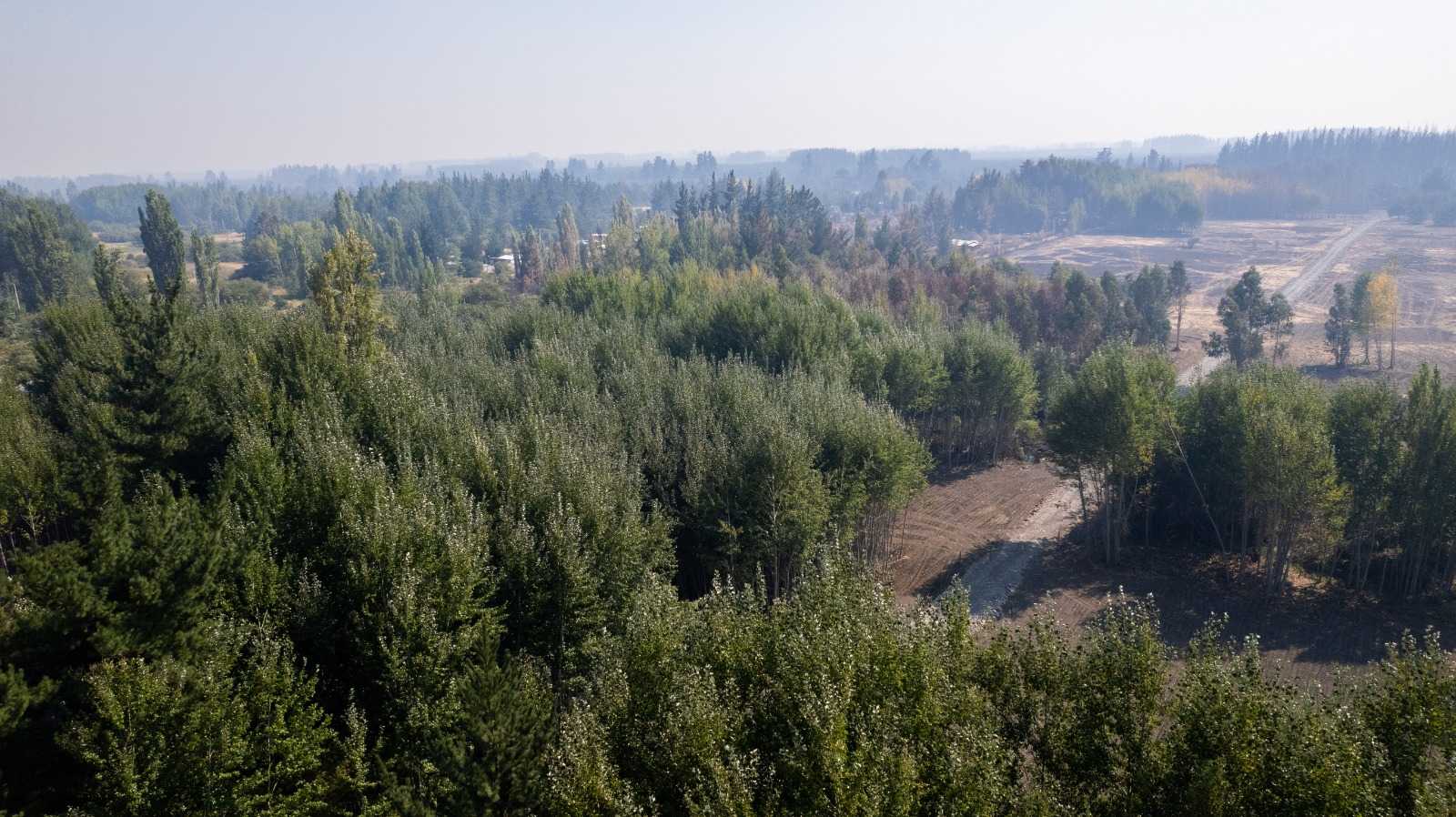 Venta Parcela Yungay - Ñuble