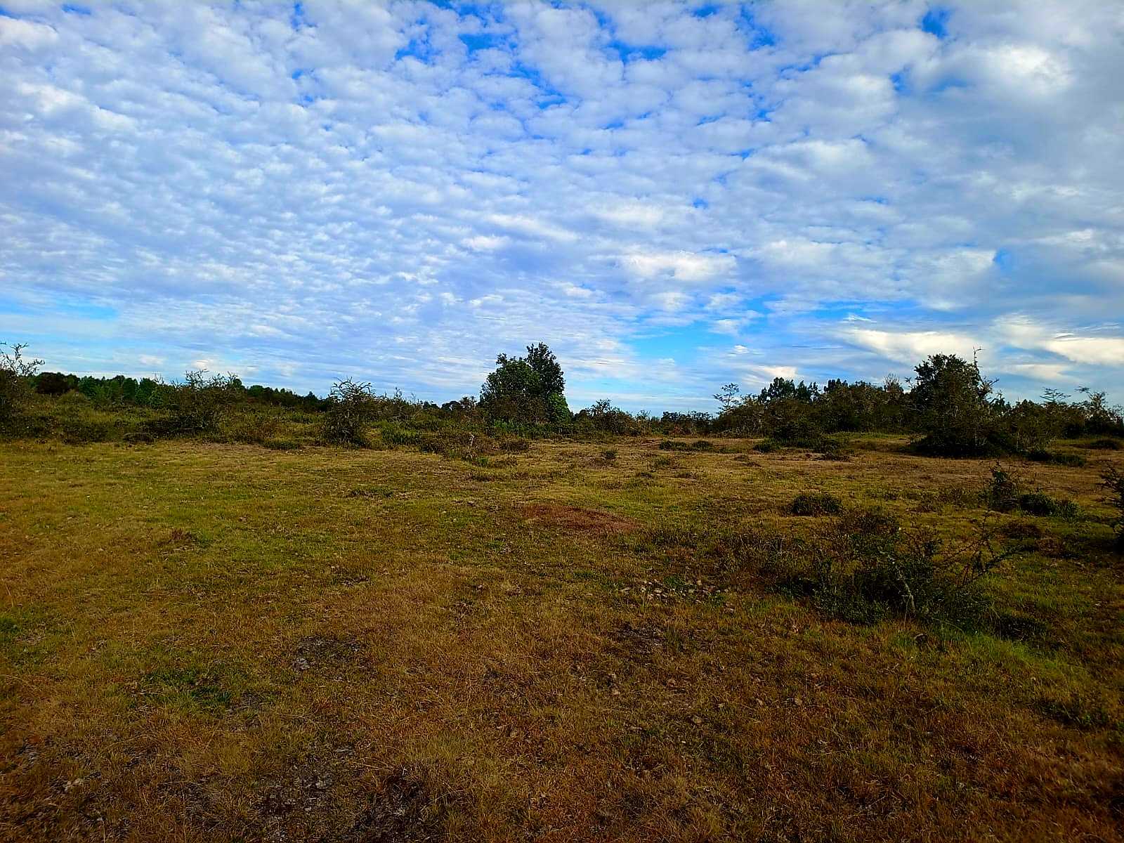 Venta Terreno Calbuco - Los Lagos