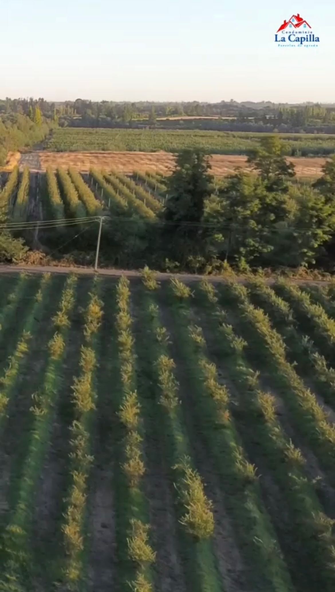 Venta Parcela Chillán - Ñuble