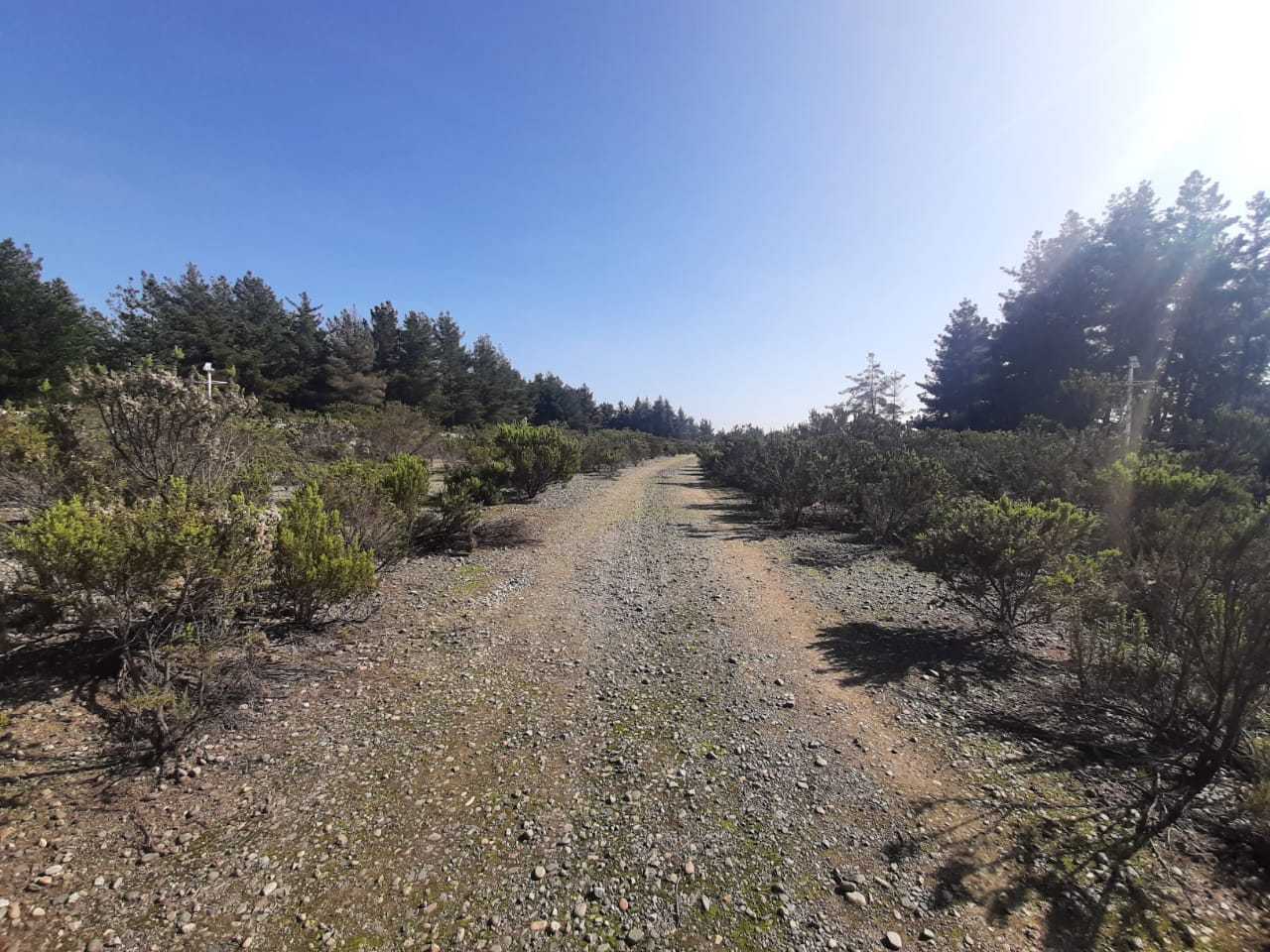 Venta Terreno Viña del Mar - Valparaíso