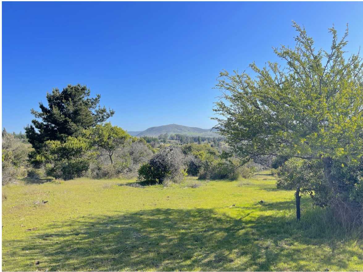 Venta Terreno San Javier - Maule