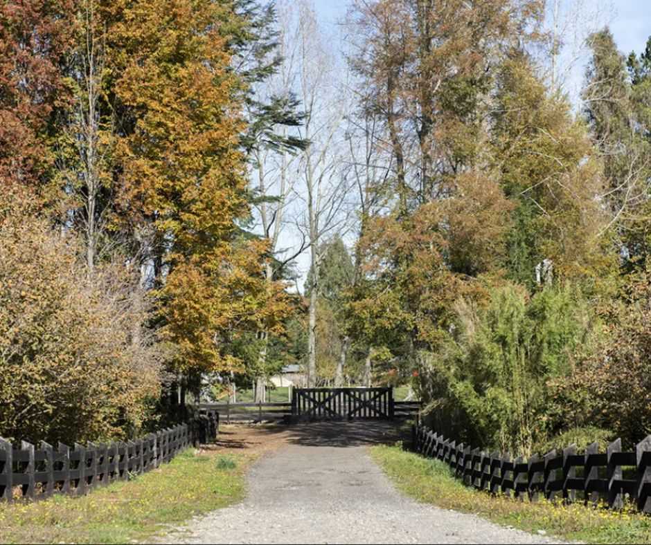 Venta Parcela Villarrica - La Araucanía