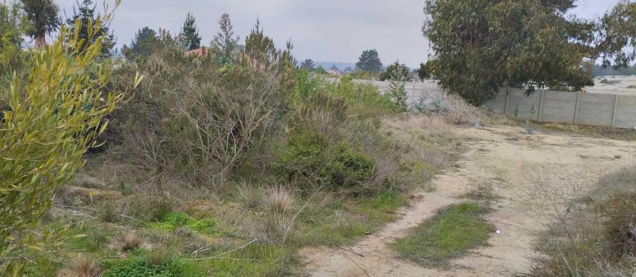 Venta Terreno Algarrobo - Valparaíso