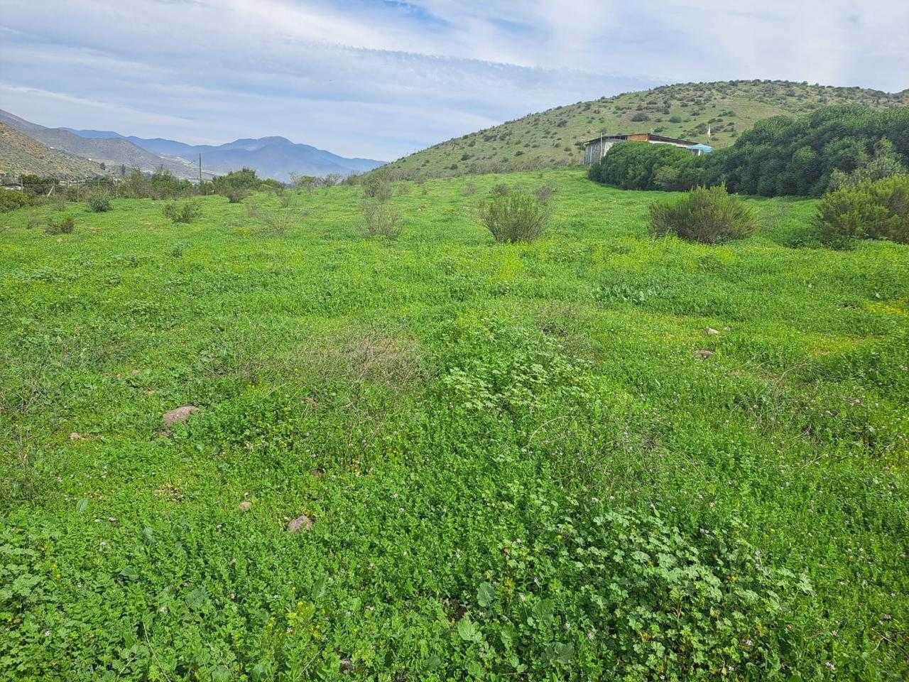 Venta Terreno Vicuña - Coquimbo