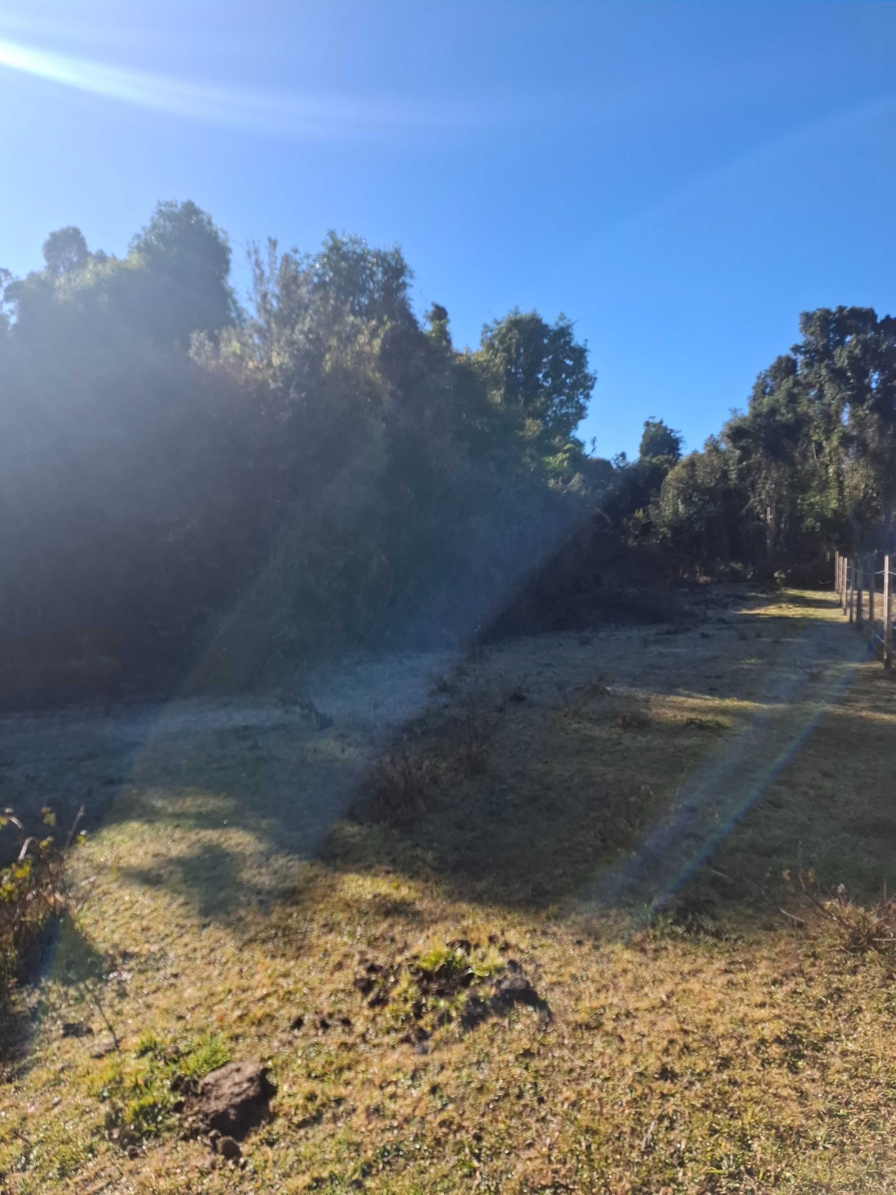 Venta Parcela Río Bueno - Los Ríos