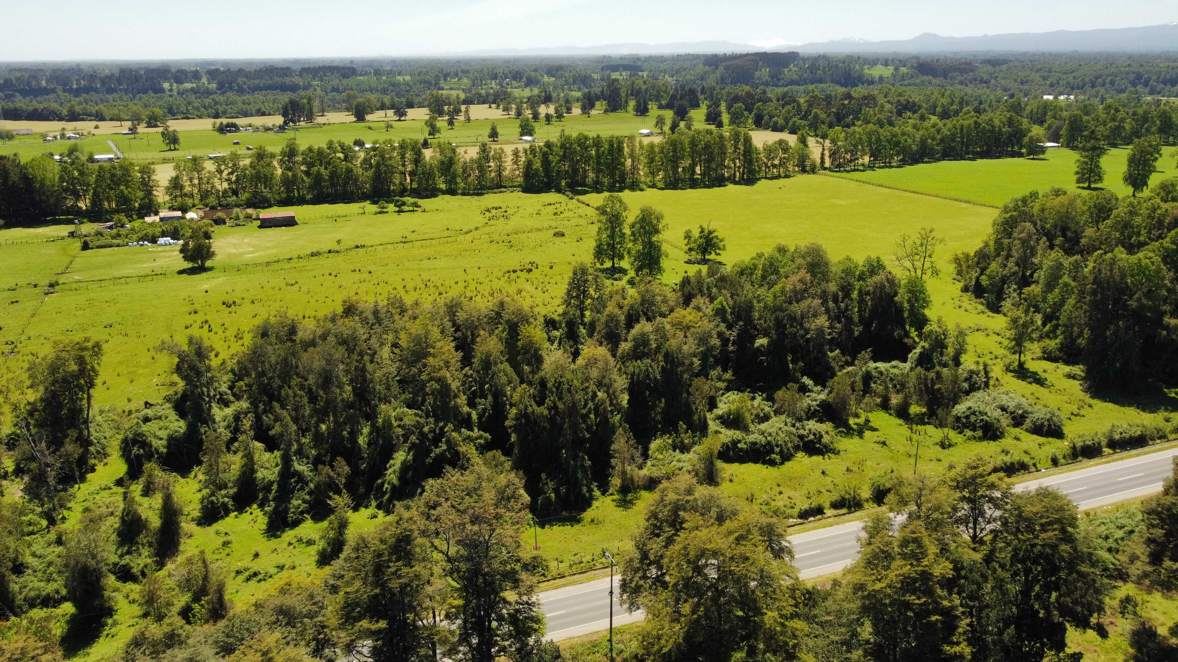 Venta Parcela Puyehue - Los Lagos